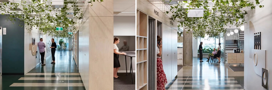 �칫��װ�����